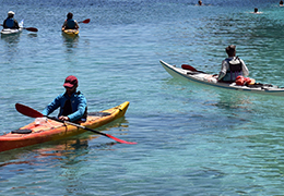 Sports nautiques et plaisance
