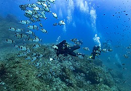 Plongée-activités subaquatiques