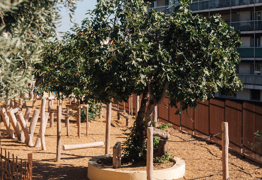 Plan Arbres