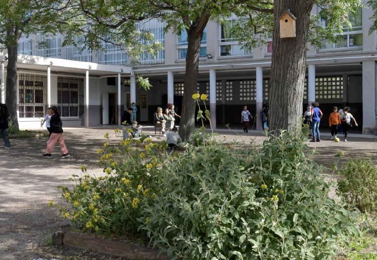 Des écoles plus vertes