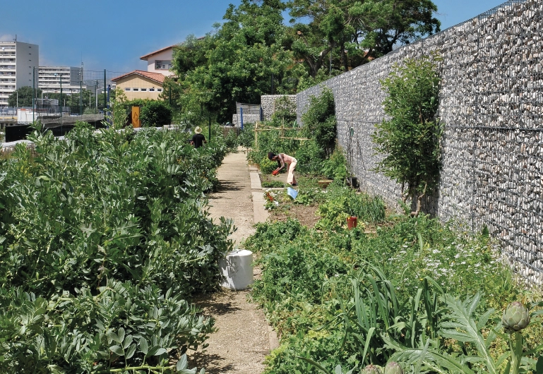 Les jardins collectifs