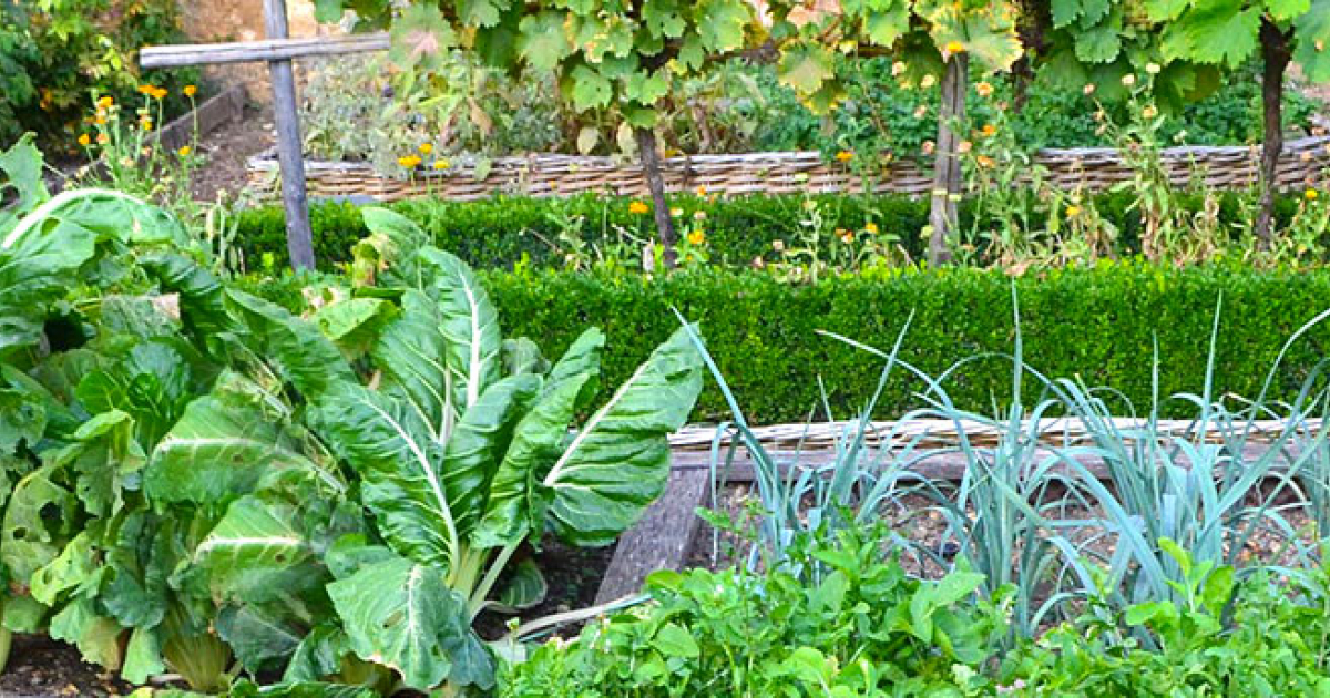 Jardins Collectifs Ville De Marseille