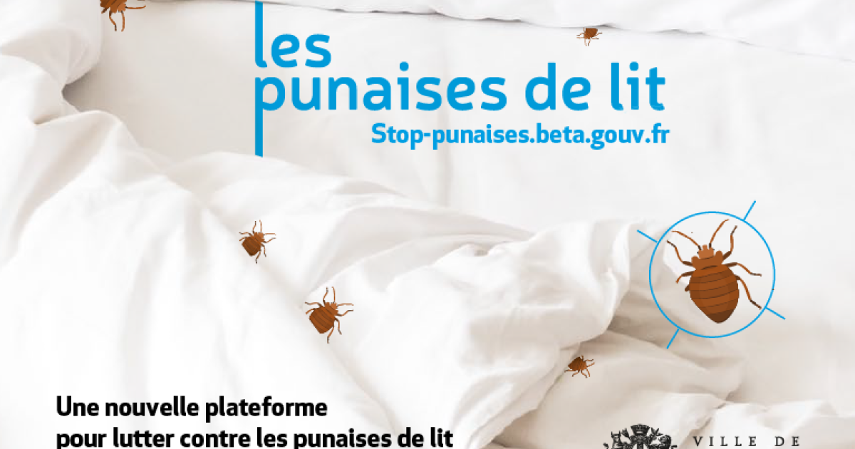 Punaises de lit : attention aux insecticides ! 
