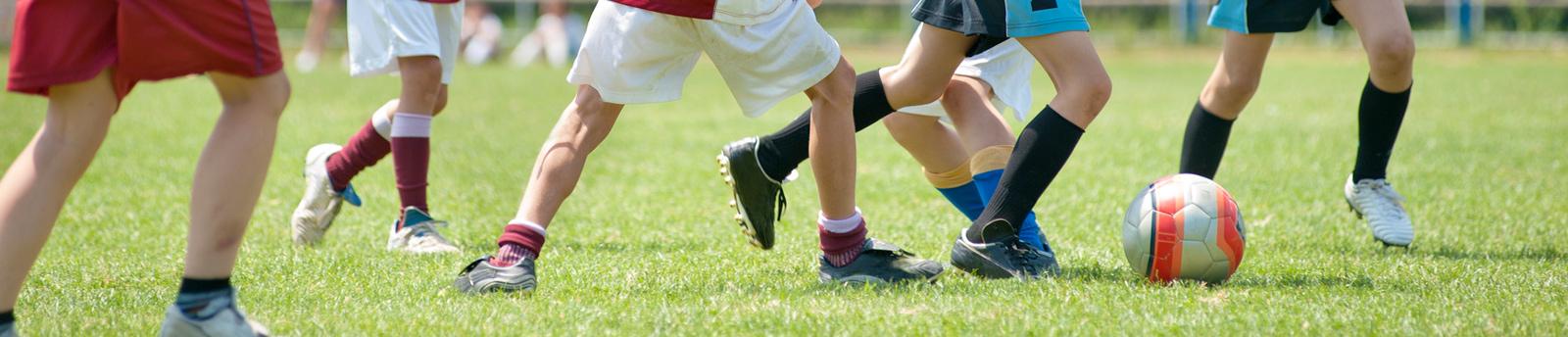 Animations sportives