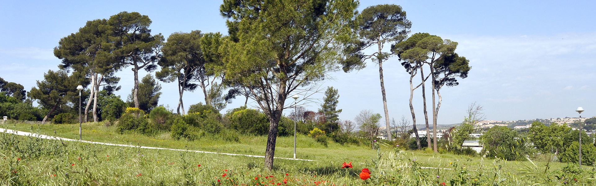 parc 13